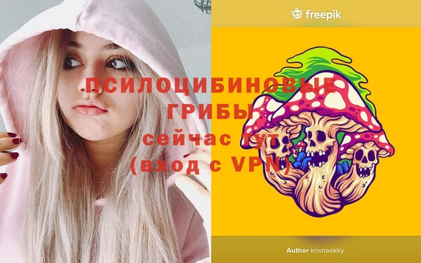 ALPHA PVP Армянск