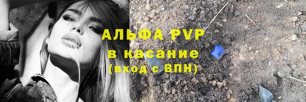 ешки Арсеньев