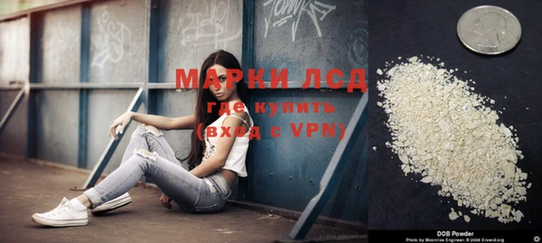 дурь Аркадак